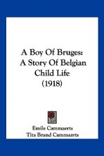 A Boy Of Bruges: A Story Of Belgian Child Life (1918)