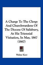 A Charge To The Clergy And Churchwardens Of The Diocese Of Salisbury, At His Triennial Visitation, In May, 1867 (1867)