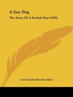 A Gay Dog: The Story Of A Foolish Year (1905)