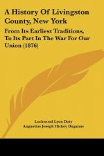 A History Of Livingston County, New York: From Its Earliest Traditions, To Its Part In The War For Our Union (1876)