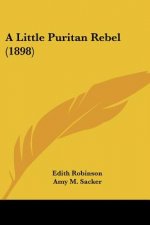 A Little Puritan Rebel (1898)