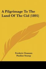 A Pilgrimage To The Land Of The Cid (1895)