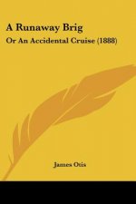 A Runaway Brig: Or An Accidental Cruise (1888)