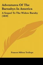 Adventures Of The Barnabys In America: A Sequel To The Widow Baraby (1859)