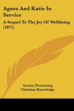 Agnes And Katie In Service: A Sequel To The Joy Of Welldoing (1871)