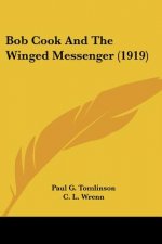Bob Cook And The Winged Messenger (1919)