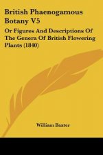 British Phaenogamous Botany V5: Or Figures And Descriptions Of The Genera Of British Flowering Plants (1840)