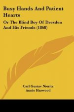 Busy Hands And Patient Hearts: Or The Blind Boy Of Dresden And His Friends (1868)