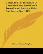 Corals And The Formation Of Coral Reefs And Fossil Corals From Central America, Cuba And Puerto Rico (1919)