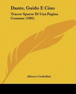Dante, Guido E Cino: Tracoe Sparse Di Una Pagina Comune (1905)