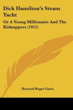 Dick Hamilton's Steam Yacht: Or A Young Millionaire And The Kidnappers (1911)