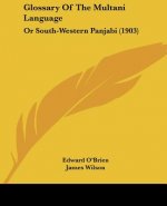 Glossary Of The Multani Language: Or South-Western Panjabi (1903)