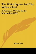 The White Squaw And The Yellow Chief: A Romance Of The Rocky Mountains (1871)