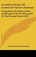 Cruchley's Picture Of London Or Visitor's Assistant: Comprising The History, Rise, And Progress Of The Metropolis To The Present Period (1832)