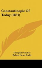 Constantinople of Today (1854)