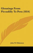 Gleanings from Piccadilly to Pera (1854)