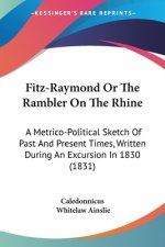 Fitz-Raymond Or The Rambler On The Rhine: A Metrico-Political Sketch Of Past And Present Times, Written During An Excursion In 1830 (1831)