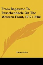 From Bapaume To Passchendaele On The Western Front, 1917 (1918)
