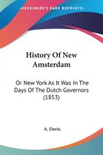 History Of New Amsterdam: Or New York As It Was In The Days Of The Dutch Governors (1853)