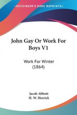 John Gay Or Work For Boys V1: Work For Winter (1864)
