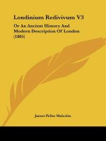 Londinium Redivivum V3: Or An Ancient History And Modern Description Of London (1805)