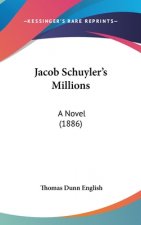 Jacob Schuyler's Millions: A Novel (1886)