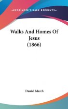 Walks And Homes Of Jesus (1866)
