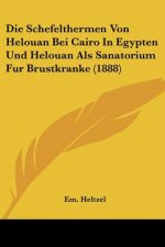 Die Schefelthermen Von Helouan Bei Cairo In Egypten Und Helouan Als Sanatorium Fur Brustkranke (1888)