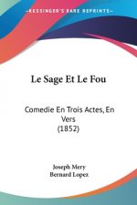 Le Sage Et Le Fou: Comedie En Trois Actes, En Vers (1852)