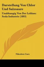 Darstellung Von Chlor Und Salzsaure: Unabhangig Von Der Leblanc Soda Industrie (1893)