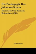 Die Paedagogik Des Johannes Sturm: Historisch Und Kritisch Beleuchtet (1872)