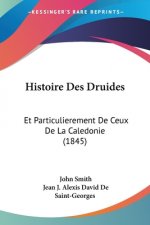 Histoire Des Druides: Et Particulierement De Ceux De La Caledonie (1845)