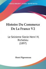 Histoire Du Commerce De La France V2: Le Seizieme Siecle Henri IV, Richelieu (1897)