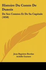 Histoire Du Comte De Dunois: De Ses Comtes Et De Sa Capitale (1850)