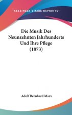 Die Musik Des Neunzehnten Jahrhunderts Und Ihre Pflege (1873)