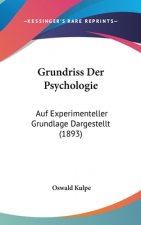 Grundriss Der Psychologie: Auf Experimenteller Grundlage Dargestellt (1893)