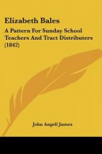 Elizabeth Bales: A Pattern For Sunday School Teachers And Tract Distributers (1842)