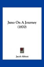 Juno On A Journey (1870)