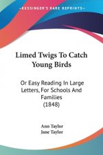 Limed Twigs To Catch Young Birds: Or Easy Reading In Large Letters, For Schools And Families (1848)
