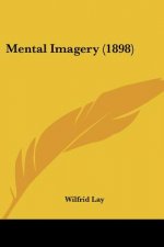 Mental Imagery (1898)