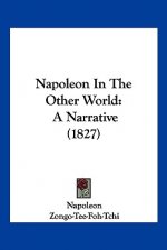 Napoleon In The Other World: A Narrative (1827)