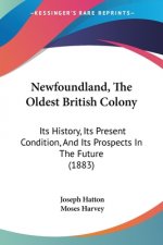 Newfoundland, The Oldest British Colony: Its History, Its Present Condition, And Its Prospects In The Future (1883)