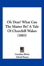 Oh Dear! What Can The Matter Be? A Tale Of Churchill Wakes (1883)