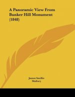 A Panoramic View From Bunker Hill Monument (1848)