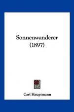 Sonnenwanderer (1897)