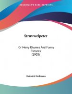 Struwwelpeter: Or Merry Rhymes And Funny Pictures (1903)
