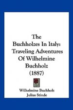 The Buchholzes In Italy: Traveling Adventures Of Wilhelmine Buchholz (1887)