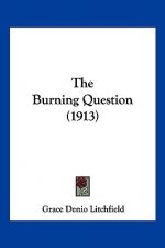 The Burning Question (1913)