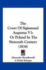 The Court Of Sigismund Augustus V1: Or Poland In The Sixteenth Century (1834)