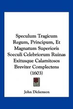 Speculum Tragicum Regum, Principum, Et Magnatum Superioris Soeculi Celebriorum Ruinas Exitusque Calamitosos Breviter Complectens (1603)